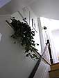 Front Hall